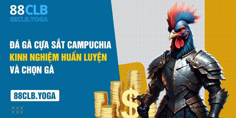 đá gà cựa sắt campuchia