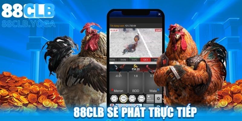 đá gà trực tiếp 88clb